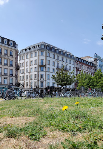 Agence immobilière IGP Immobilier Strasbourg