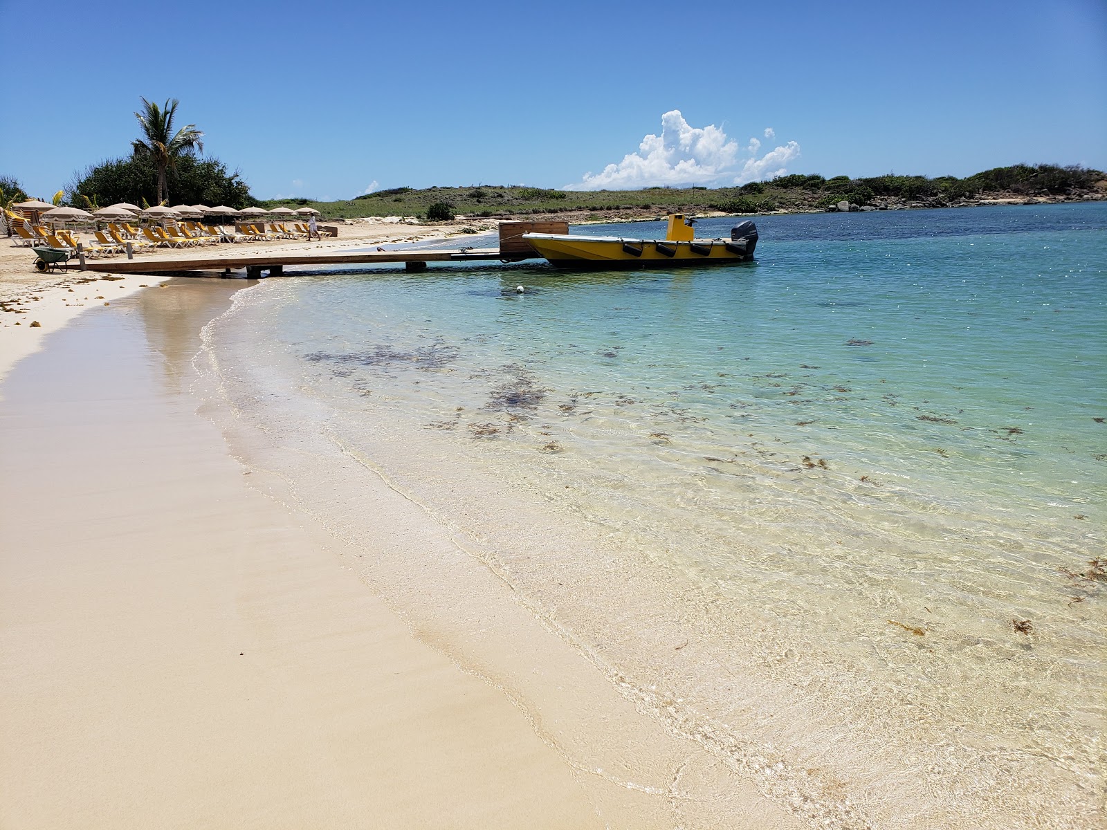 Foto de Yellow beach - lugar popular entre os apreciadores de relaxamento