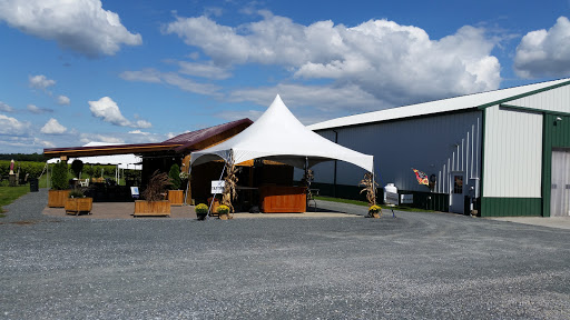 Vineyard «Crow Farm», reviews and photos, 12441 Vansant Corner Rd, Kennedyville, MD 21645, USA