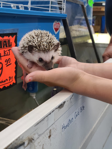 Pet Store «Jules Pet Shop», reviews and photos, 2214 N Milwaukee Ave, Chicago, IL 60647, USA