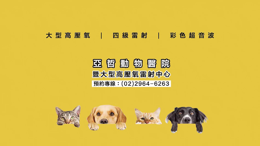 亞哲動物醫院 暨大型高壓氧雷射中心 板橋動物醫院推薦 寵物犬貓癱瘓中風癲癇 寵物犬貓生病 動物醫院評價 寵物心臟超音波 寵物高壓氧雷射