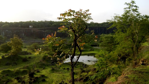 Google Maps image 15