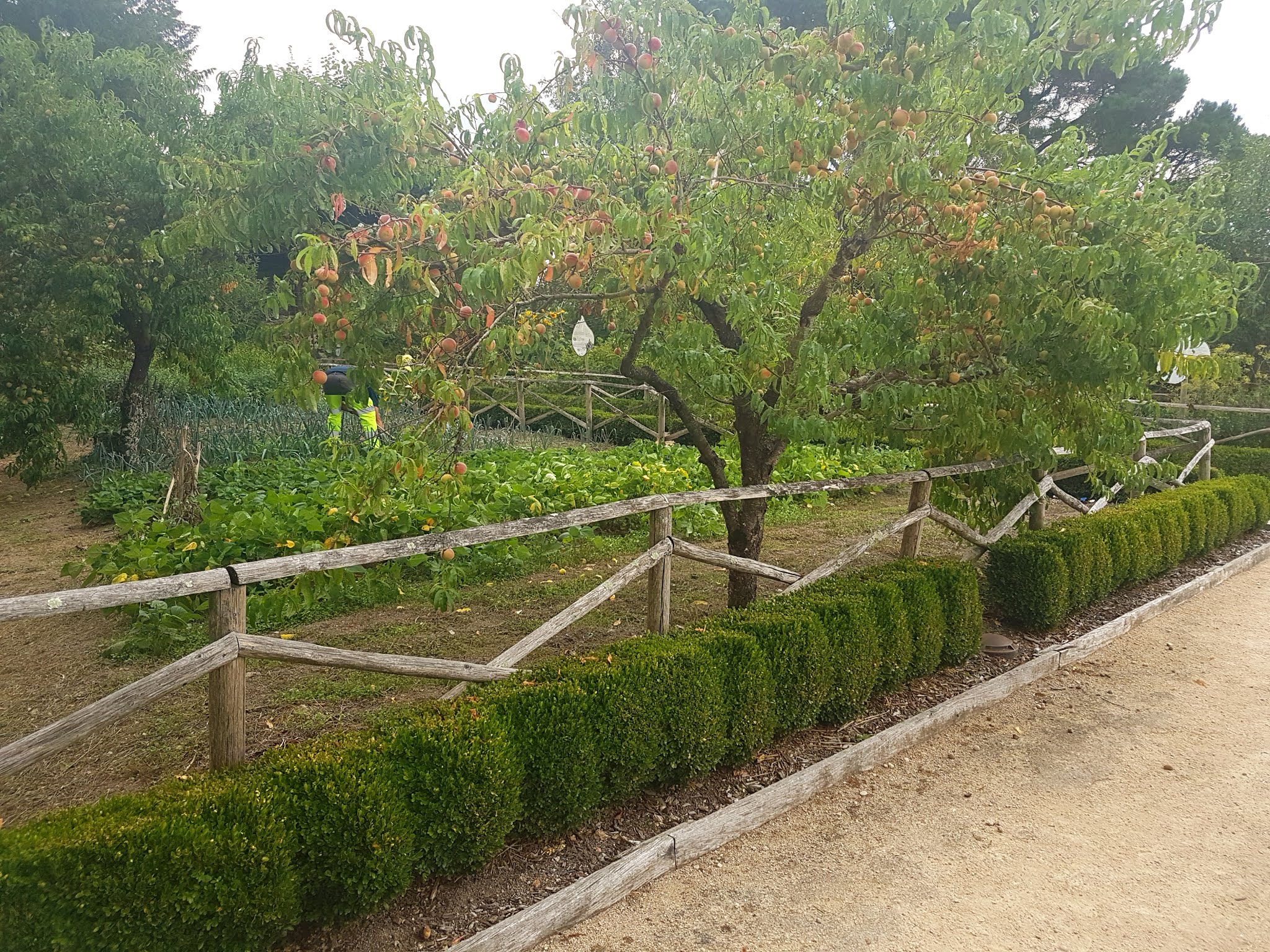 Photo n° 46 de l'avis de Nicolas.e fait le 28/09/2019 à 18:38
