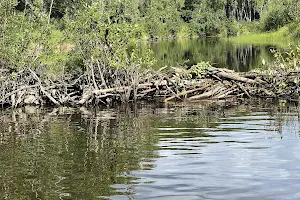 Talkeetna River Guides & Rafters, Inc. image
