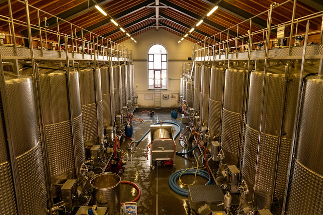 Cagi- Cantina Giubiasco Sa - Bellinzona