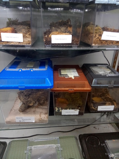 Pet Store «Zookeeper Exotics», reviews and photos, 9012 Research Blvd, Austin, TX 78758, USA