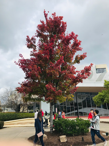 Tourist Attraction «World of Coca-Cola», reviews and photos, 121 Baker St NW, Atlanta, GA 30313, USA