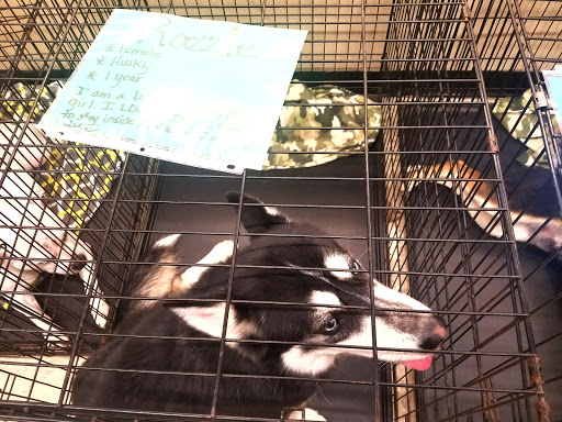 Pet Supply Store «PetSmart», reviews and photos, 1810 Cumming Hwy, Canton, GA 30114, USA