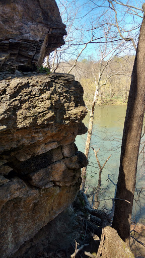 Nature Preserve «Shannondale Springs Wildlife Management Area», reviews and photos, Co Rte 9/5, Harpers Ferry, WV 25425, USA