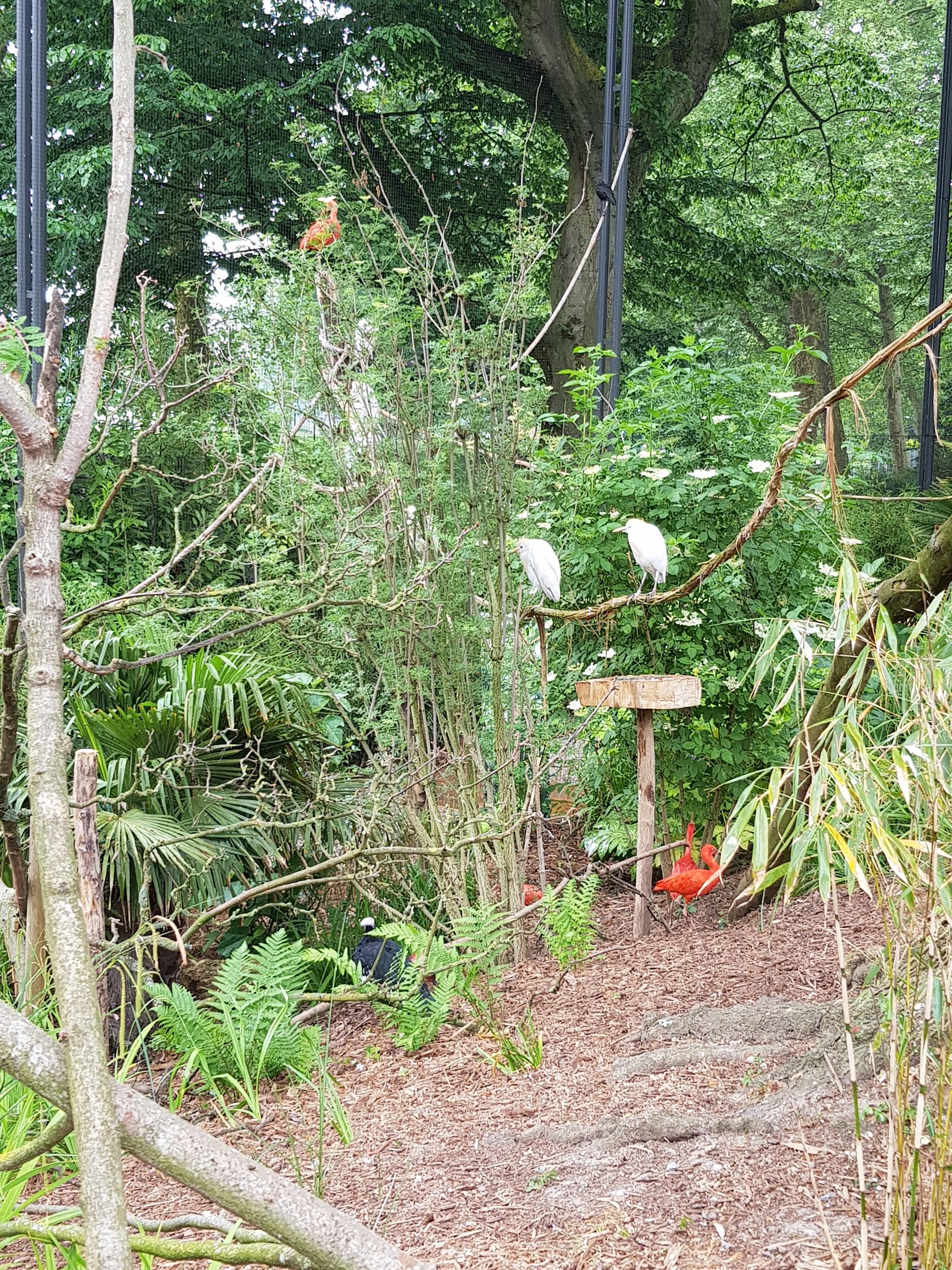 Photo n° 6 de l'avis de armede.n fait le 21/06/2018 à 12:09