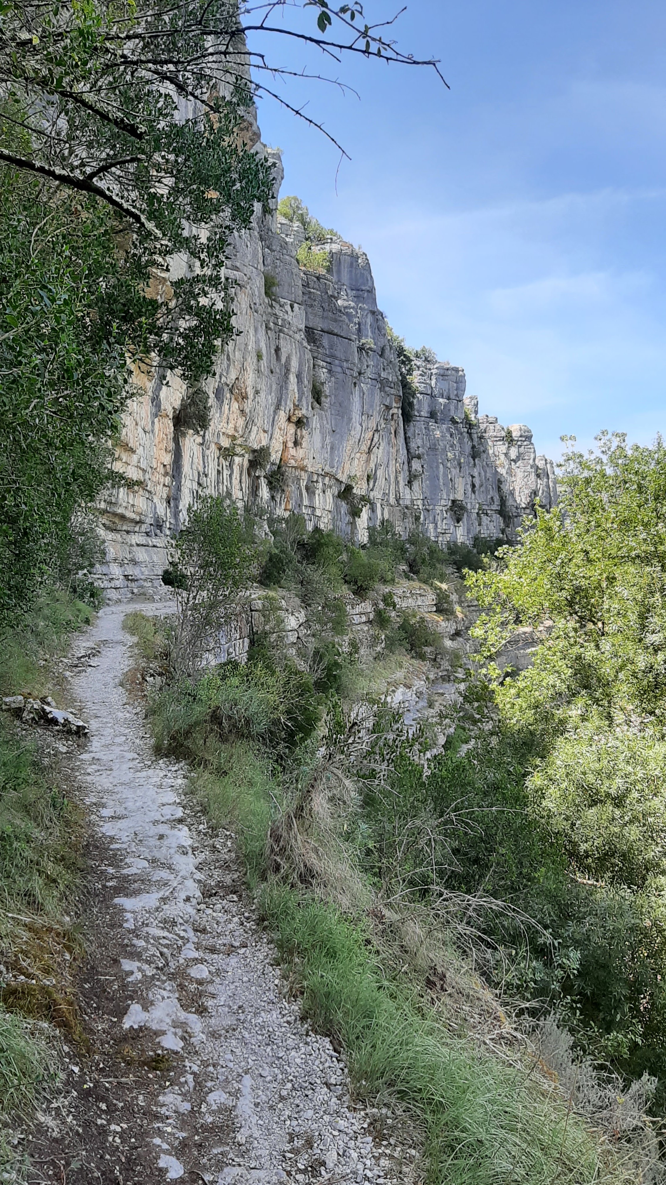 Photo n° 5 de l'avis de Xavier.a fait le 03/08/2023 à 16:38