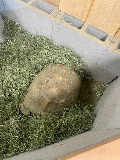 Reptile Store «Nature Box Pet Emporium», reviews and photos, 13722 E Quincy Ave, Aurora, CO 80015, USA