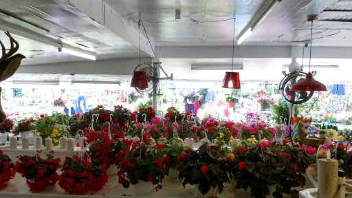 Grocery Store «Red Top Farm Market», reviews and photos, 1801 NJ-70, Southampton Township, NJ 08088, USA