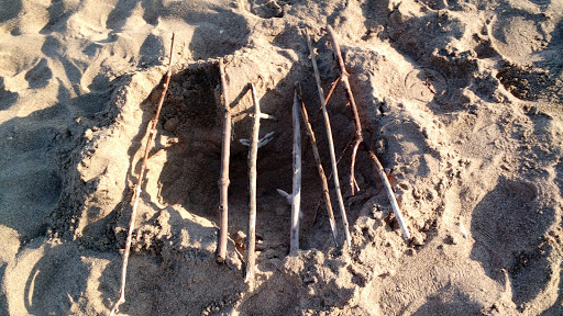 Nature Preserve «Kenosha Sand Dunes», reviews and photos, 7th Ave, Pleasant Prairie, WI 53158, USA