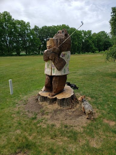 Golf Club «Indian Run Golf Club», reviews and photos, 6359 Rs Ave E, Scotts, MI 49088, USA