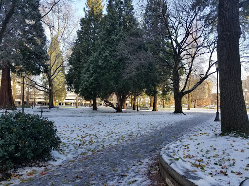 Park «Holladay Park», reviews and photos, NE Holladay St & NE 11th Ave, Portland, OR 97232, USA