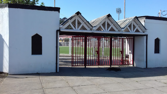 Estadio San Vicente - Campo de fútbol