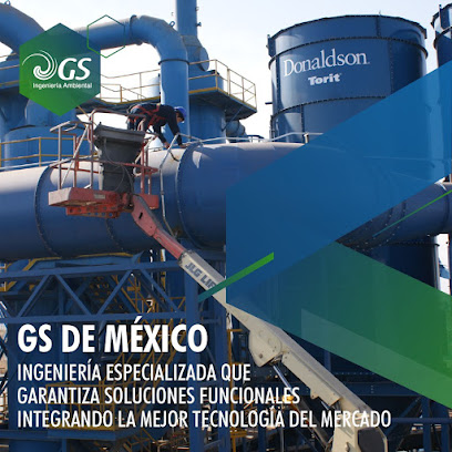 GS DE MEXICO S DE RL DE CV