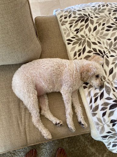 Furniture Store «Ashley HomeStore», reviews and photos, 24001 El Toro Rd, Laguna Hills, CA 92653, USA