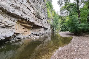 Wutach Gorge image