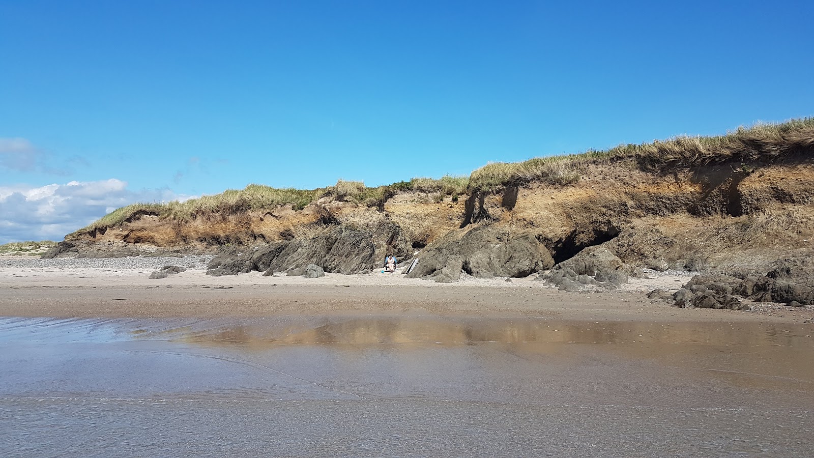 Bannow Island Beach'in fotoğrafı vahşi alan