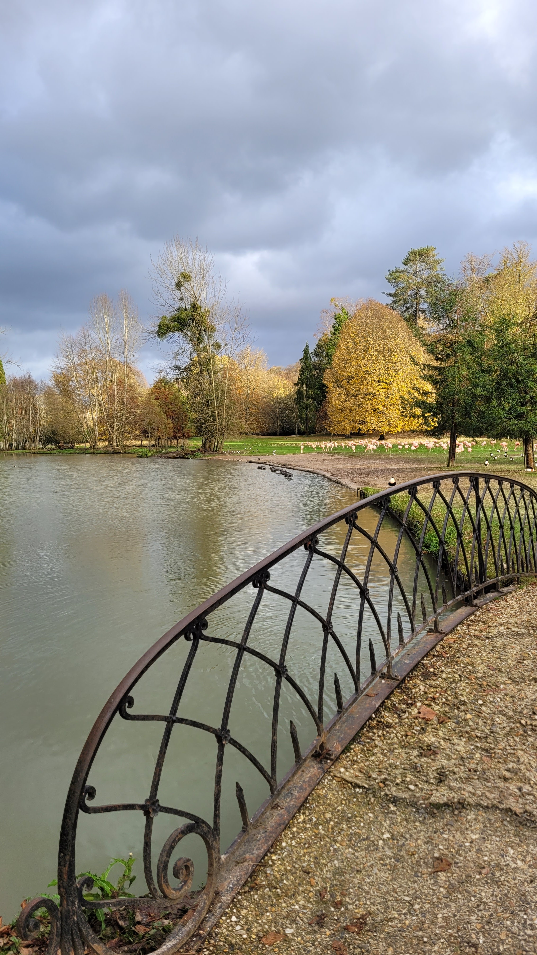 Photo n° 1 de l'avis de Sophie.a fait le 22/11/2023 à 15:36