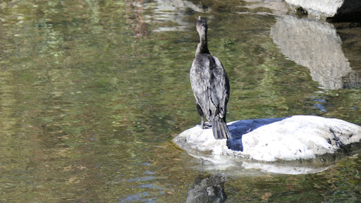 Park «Van Der Donck Park», reviews and photos, 41 Dock St, Yonkers, NY 10701, USA