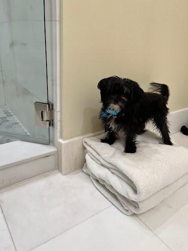 Thrift Store «Goodwill Boca West Store & Donation Center», reviews and photos