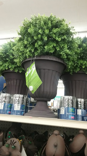 Discount Store «Big Lots», reviews and photos, 3055 183rd St, Homewood, IL 60430, USA