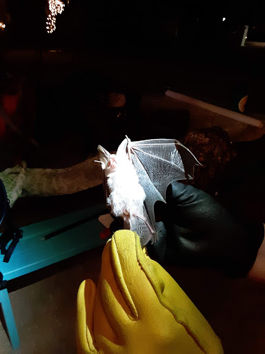 Wildlife Rescue Service «Southwest Wildlife Conservation Center», reviews and photos, 27026 N 156th St, Scottsdale, AZ 85262, USA