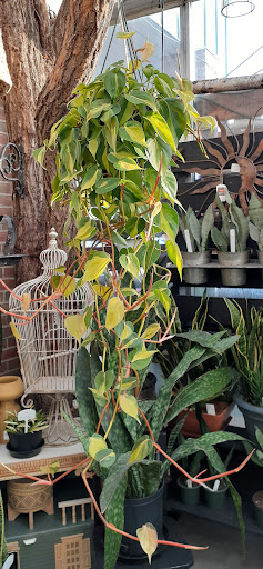 Home Improvement Store «Longeneckers True Value», reviews and photos, 127 Doe Run Rd, Manheim, PA 17545, USA