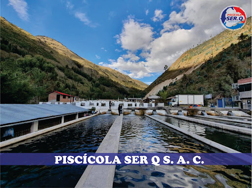 PISCÍCOLA SER Q