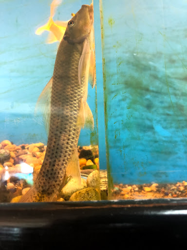 Tropical Fish Store «Tropical Treasures», reviews and photos, 2212 E Platte Ave, Colorado Springs, CO 80909, USA