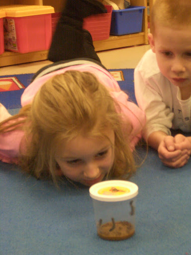 Preschool «Kiddie Academy of Upper Freehold», reviews and photos, 5 Alyson Way, Allentown, NJ 08501, USA