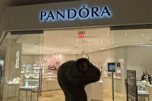 Pandora image