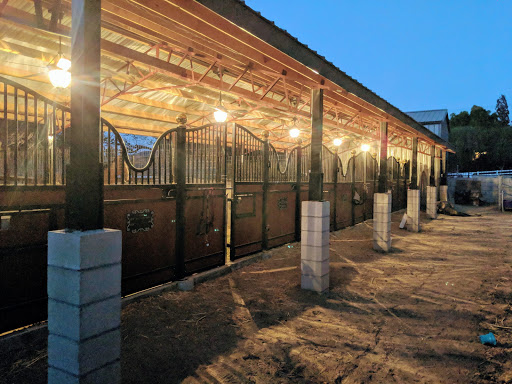 Prestige Equestrians Horse Lessons, Training and Sales