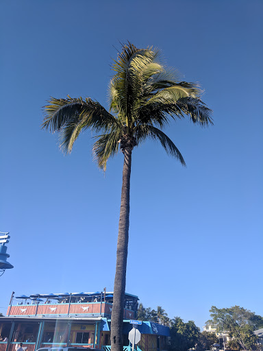 Seafood Restaurant «Gulfshore Grill and The Cottage Beach Bar», reviews and photos, 1250 Estero Blvd, Fort Myers Beach, FL 33931, USA