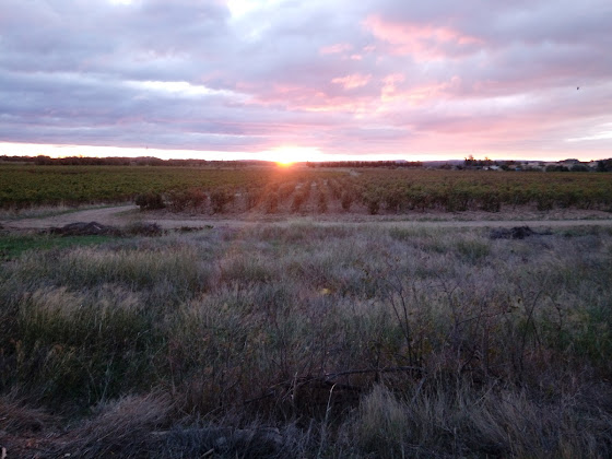Photos des visiteurs Chambre d'hôtes Bateau Mariance 11590 Ginestas