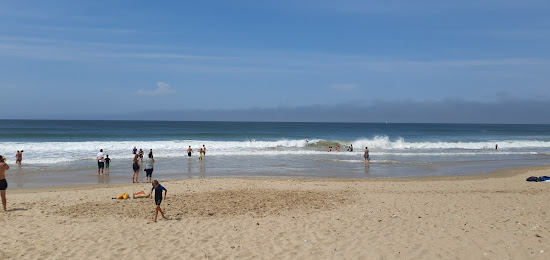 Pollok beach
