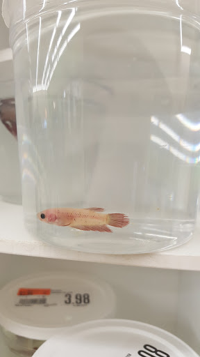 Pet Supply Store «Pet Supplies Plus», reviews and photos, 2471 E State St, Hermitage, PA 16148, USA