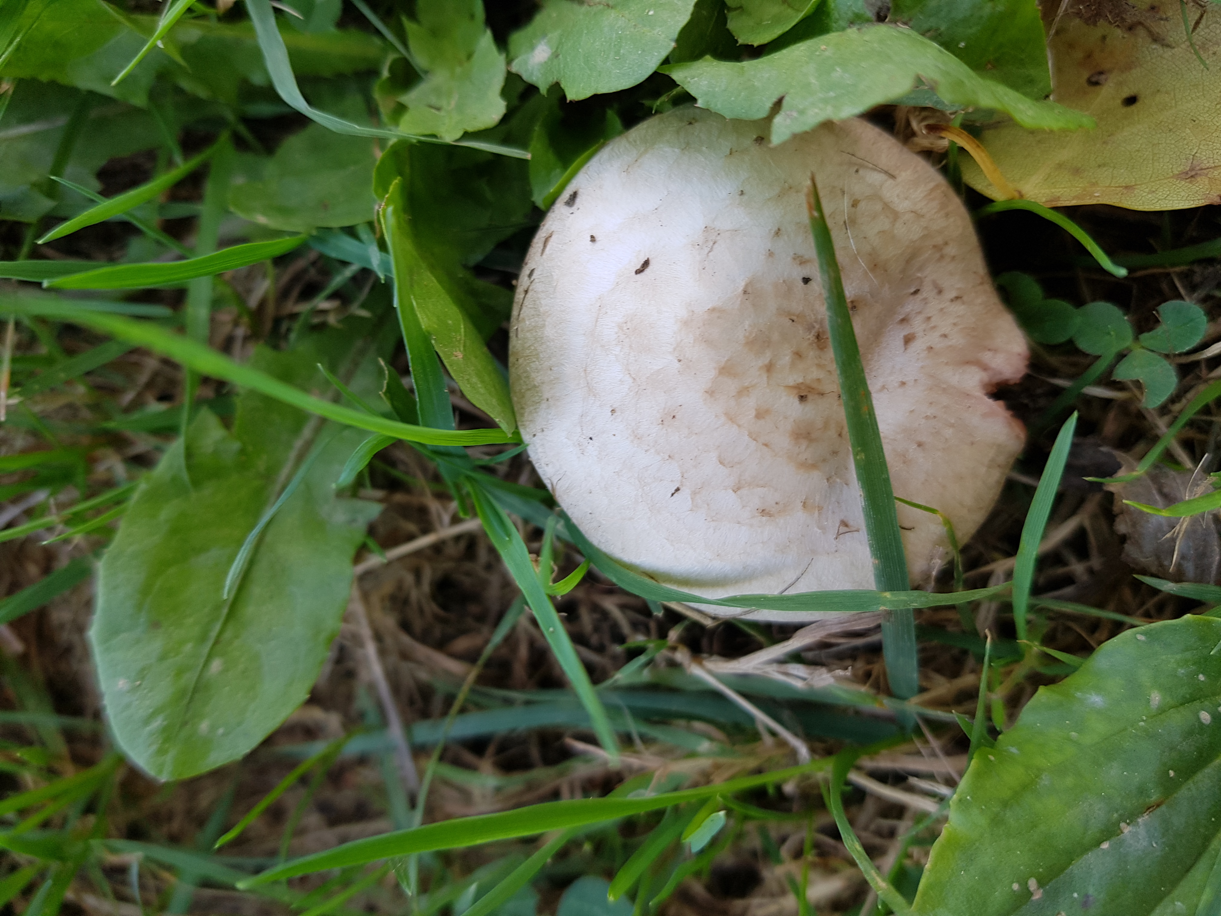 Photo n° 2 de l'avis de Matthias.A fait le 16/03/2019 à 14:54