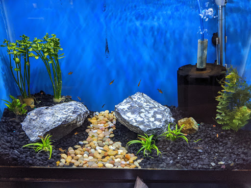 Pet Store «The Pet Works», reviews and photos, 407 4th Ave E, Olympia, WA 98501, USA