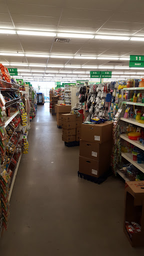 Dollar Store «Dollar Tree», reviews and photos, 176 Newington Rd, West Hartford, CT 06110, USA