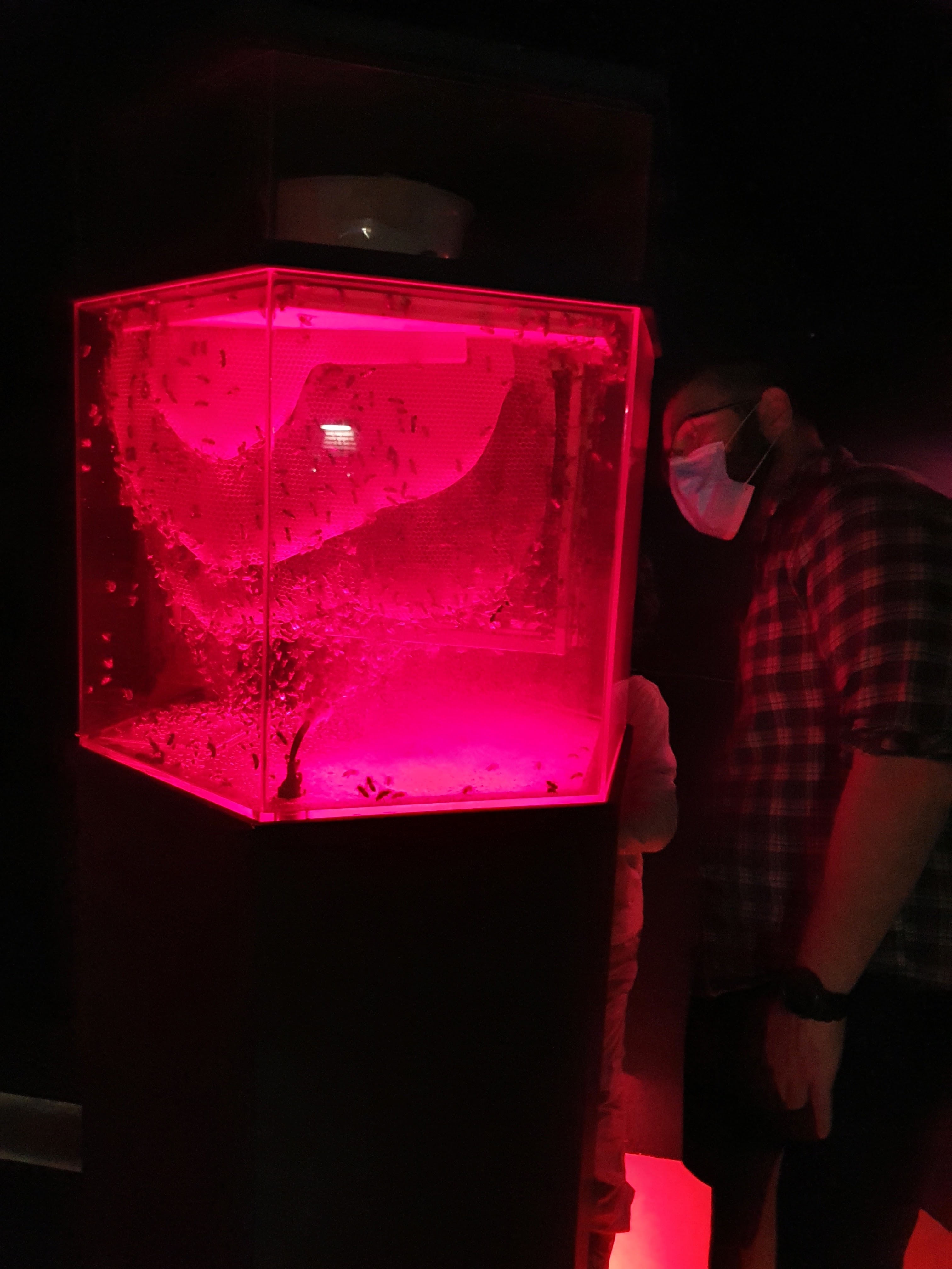 Photo n° 2 de l'avis de Renfer.a fait le 02/08/2021 à 19:43