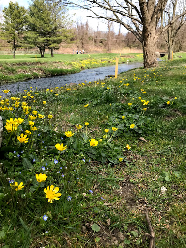 Golf Course «Maple Moor Golf Course», reviews and photos, 1128 North St, White Plains, NY 10605, USA