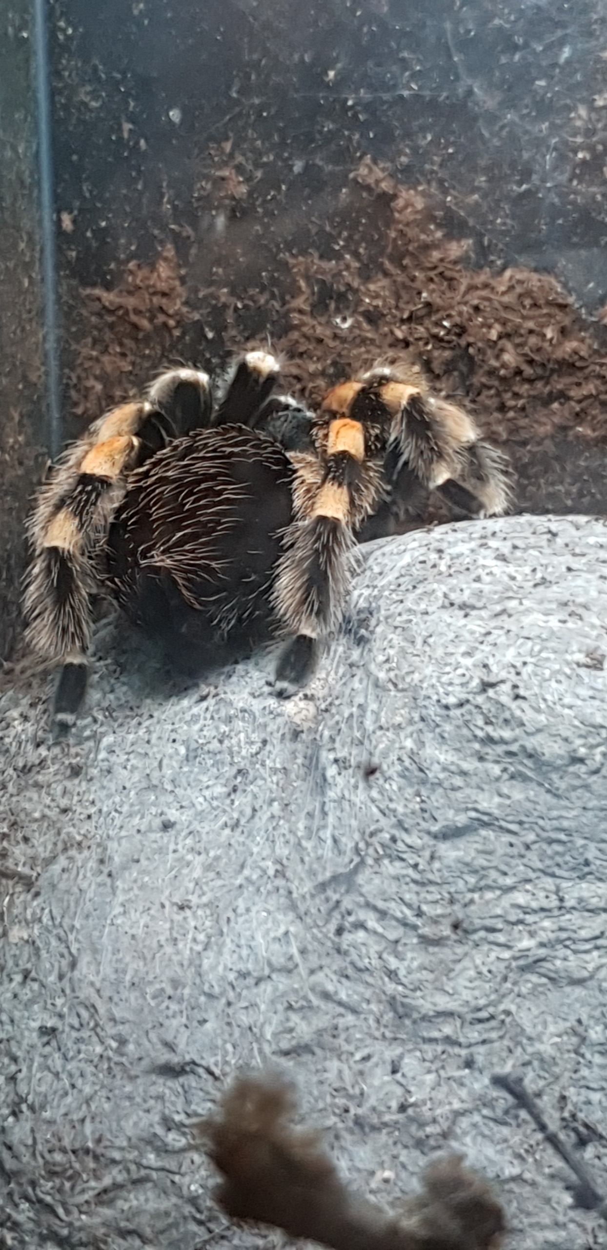 Photo n° 3 de l'avis de DENIVELLE.n fait le 24/12/2018 à 08:35