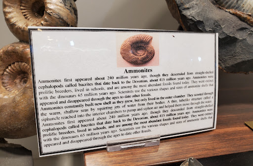 Jeweler «Breckenridge Jewelers», reviews and photos, 215 S Main St, Breckenridge, CO 80424, USA