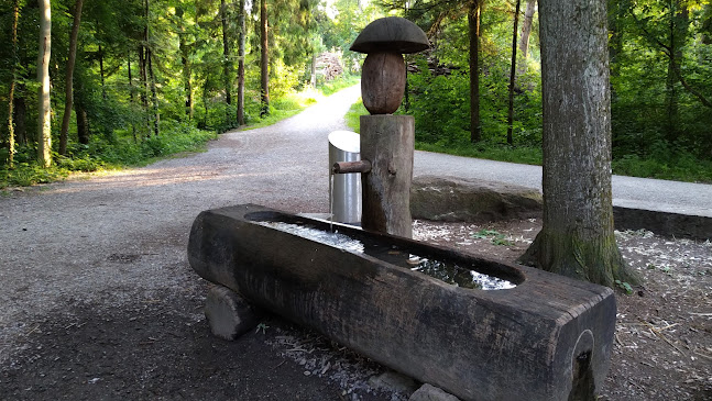 Rezensionen über Holderbachhütte in Zürich - Reisebüro