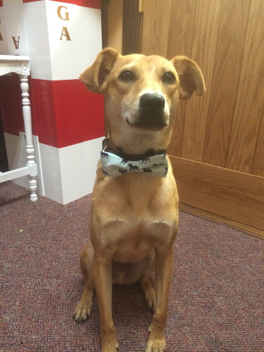 Gift Shop «Impressions of Saratoga», reviews and photos, 368 Broadway, Saratoga Springs, NY 12866, USA