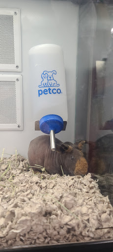 Pet Supply Store «Petco Animal Supplies», reviews and photos, 10190 W McDowell Rd, Avondale, AZ 85323, USA